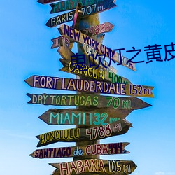 鬼吹灯之黄皮子(子)坟