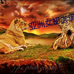 亚洲女初尝黑人巨