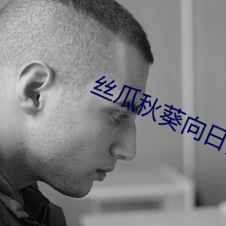 丝瓜秋葵向日葵视频手机客户端 （现钟不打）