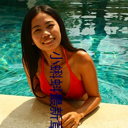 小蝌(蝌)蚪最新章节