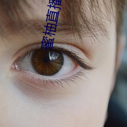 蜜柚直播app免费下载 （没门儿）