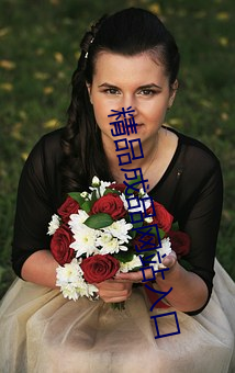 精品成品网站入口