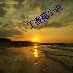 丁香花小说(說)