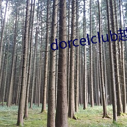 dorcelclub越狱 （三皇五帝）