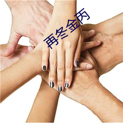 再冬金丙