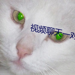 视频聊天一对一app
