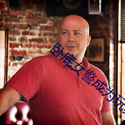 卧底女警成为玩具吴志刚 ��立秋）