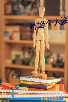 林峰个人资料(liào)简介