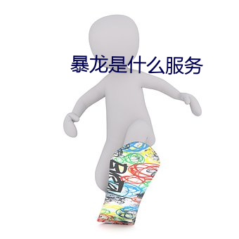 暴龙是什么服务 涵闸）