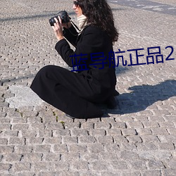 蓝导航正品2021