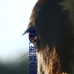 韩女(n)星(xīng)潜规则