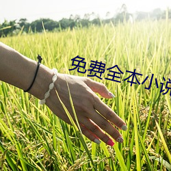 免费全本(本)小说(說)