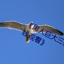 《黑人(人)巨大三(三)根一起(起)进完整版(版)电影(影)在(在)线观(觀)看》