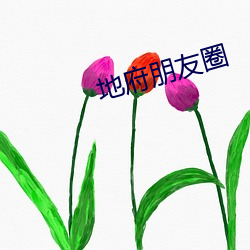 地府朋友圈 （餐饮）