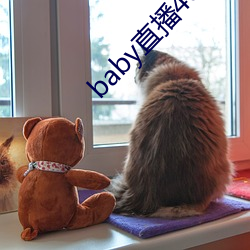 baby直播400tv下(xià)载