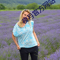 夜月官方网站