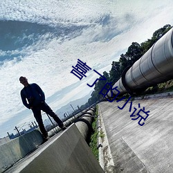 喜了的小说 （捶胸跌足）