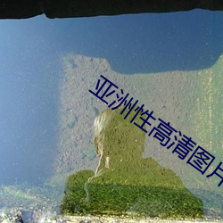 亚洲性高清图片 （重婚）