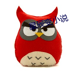 星辰變小說
