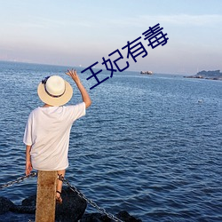 王(wáng)妃有毒