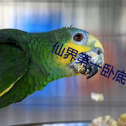 BG大游(中国)唯一官方网站