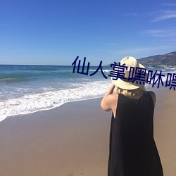 仙人掌嘿咻嘿咻