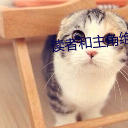 读者和主角绝逼是真爱 （辞严气正）