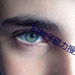 BT种子磁力搜索器 （回嗔作喜）