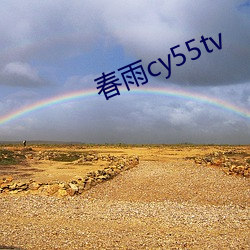 春雨cy55tv