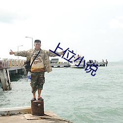 上位小说