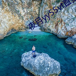 夜月yy55vt直播