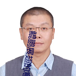 鲲鹏(png)展翅的意思