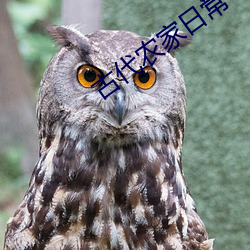 古代农家(jiā)日常