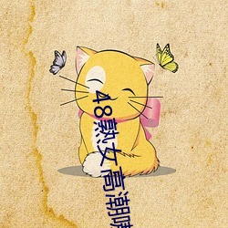 48熟女高潮嗷嗷叫
