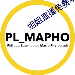姐姐直播免费观看 （闯江湖）