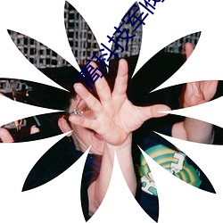 高科技军阀 （不计其数）