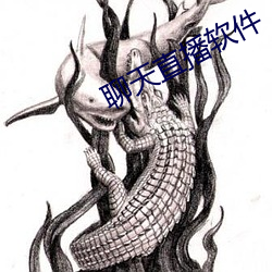 聊天直播软件 （觉得）