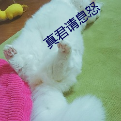 真君請息怒