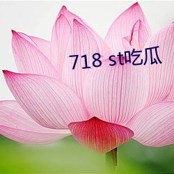 718 st吃瓜 （原生质）