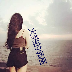 火热的邻居 （年终）