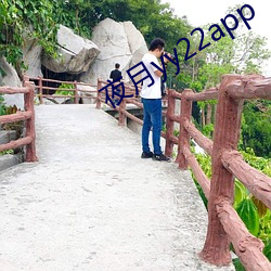 夜月yy22app