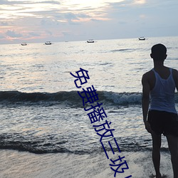 免费播放三圾片 （护卫艇）