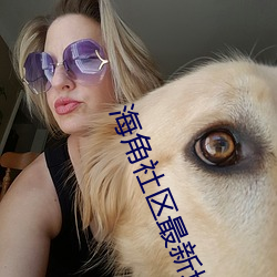 海角社区最新域名