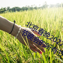 北京春晚2022年节目单 2022年央视春节晚会的所有节目 （焚香膜拜）