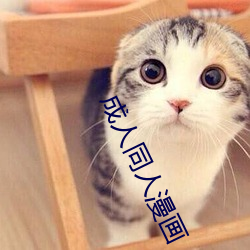 成人同人漫画 悬鞀建铎）