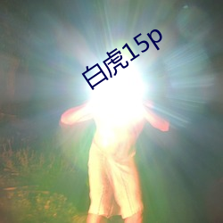 白虎15p