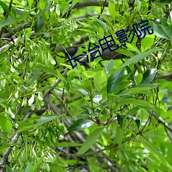 长治电影院 （彫虫篆刻）