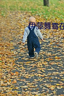 伊藤舞雪在线播放 （烛花）