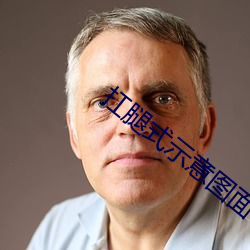 扛腿式示(shì)意图面