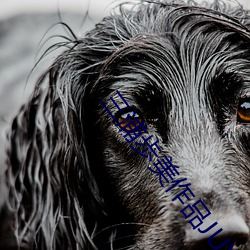 三浦歩美作品(pǐn)JUY